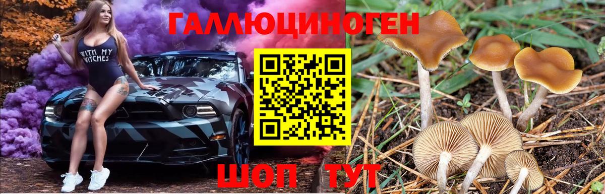 Псилоцибиновые грибы MAGIC MUSHROOMS Кузнецк