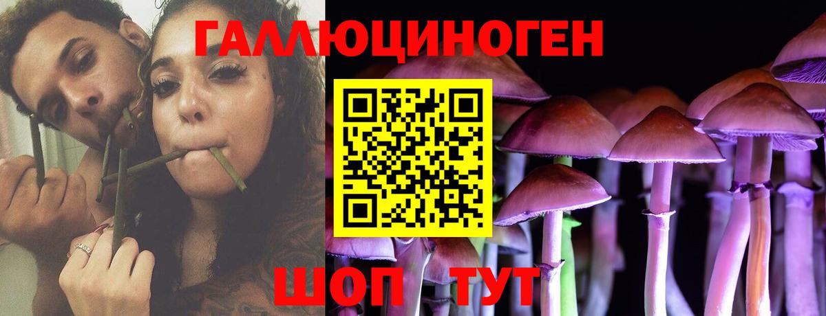 Галлюциногенные грибы Psilocybe  Вход с VPN  Галлюциногенные грибы Psilocybe  Кузнецк 